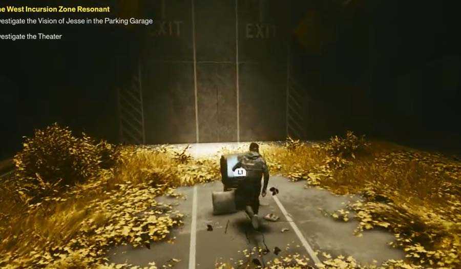 Televisao com folhagem amarela no fundo do estacionamento