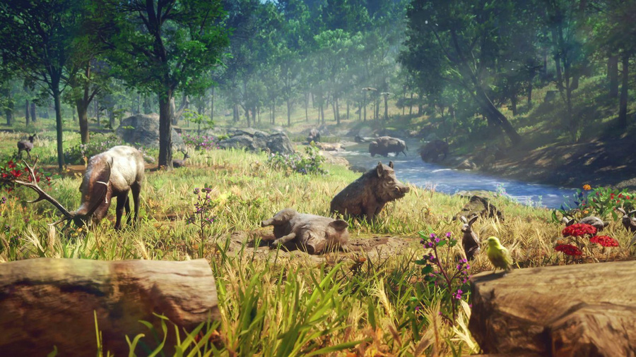 Fauna da floresta de Leonida em Grand Theft Auto VI